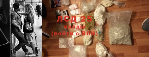 индика Бугульма