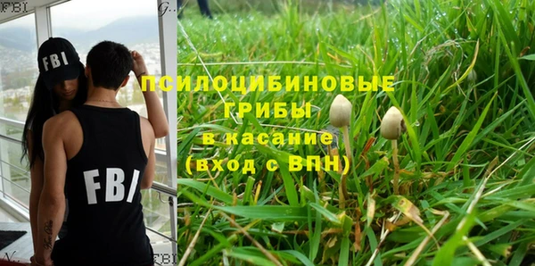 индика Бугульма