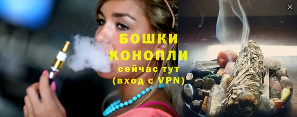 индика Бугульма