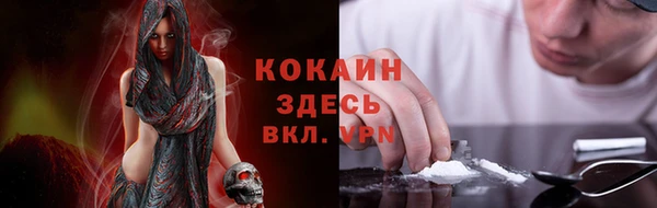 PSILOCYBIN Бронницы