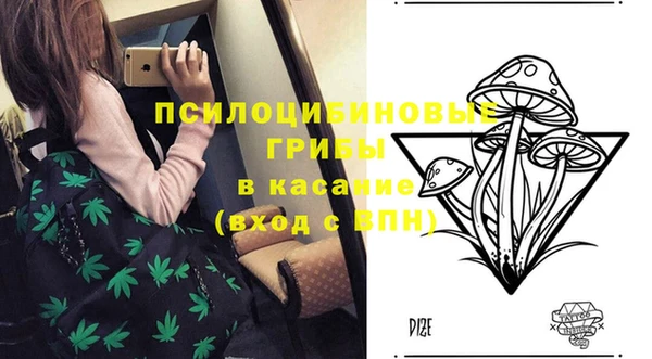 mdma Бородино