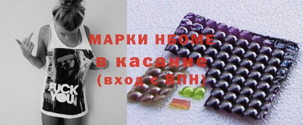 индика Бугульма