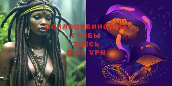 PSILOCYBIN Бронницы