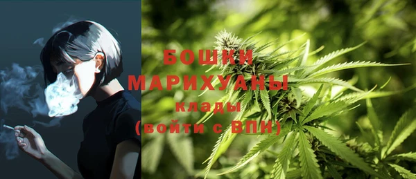 mdma Бородино