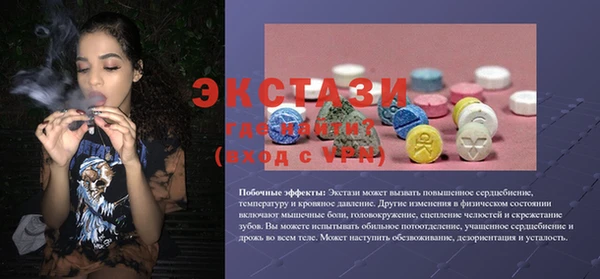 индика Бугульма