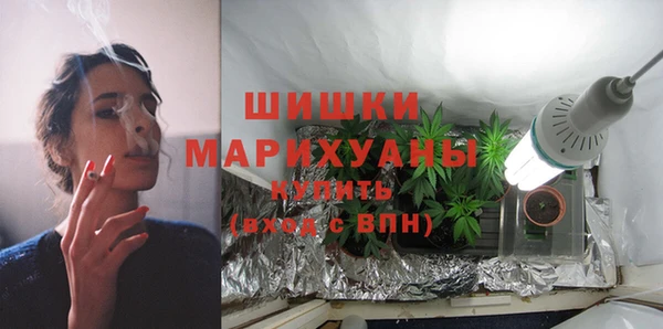 индика Бугульма